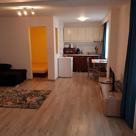 Apartament 1 Central Târgu-Mureş Zewnętrze zdjęcie