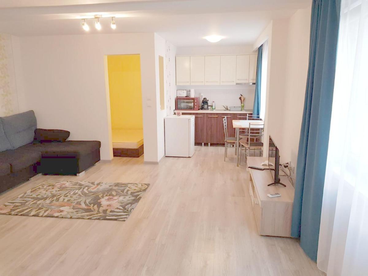 Apartament 1 Central Târgu-Mureş Zewnętrze zdjęcie